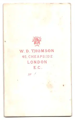 Fotografie W. D. Thomson, London-EC, 45, Cheapside, Junge Dame im hübschen Kleid