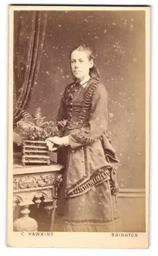 Fotografie C. Hawkins, Brighton, 32 & 38 Preston Street, Junge Dame im hübschen Kleid