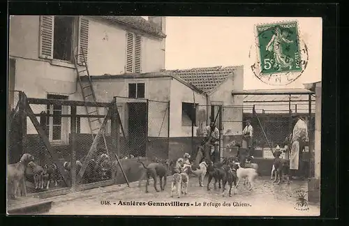 AK Asnières-Gennevilliers, Le Refuge des Chiens