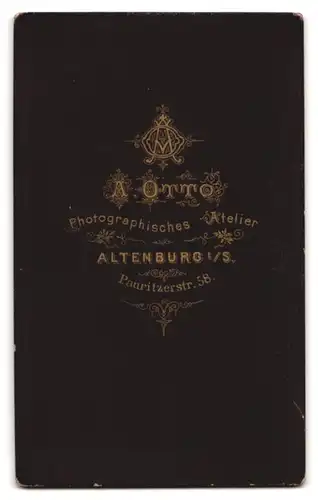 Fotografie A. Otto, Altenburg, Pauritzerstrasse 58, Bürgerliche Dame mit aufgestützter Hand