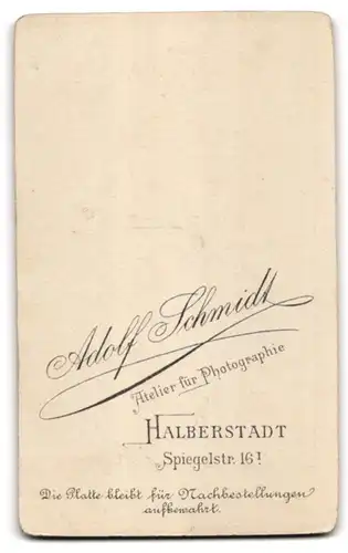 Fotografie Adolf Schmidt, Halberstadt, Spiegelstrasse 16, Bürgerliches Paar, Herr mit Schnurrbart