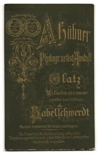 Fotografie A. Hübner, Glatz, Wilhelmstrasse geg. Ständehaus, Greisin mit müdem Blick