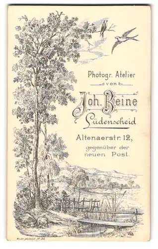 Fotografie Joh. Beine, Lüdenscheid, Naturlandschaft an einem See, Schwalben