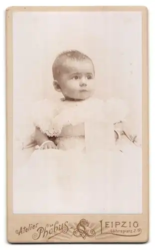 Fotografie Atelier Phöbus Bes. Lüde, Leipzig, Löhrsplatz 2, Florale Verzierungen-Lorbeerzweige, Rückseitig Baby Portrait