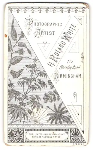 Fotografie H. Roland White, Birmingham, 175 Moseley Road, Fächer mit Pflanzen