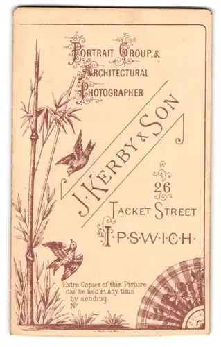Fotografie J. Kerby & Son, Ipswich, 26 Tacket St., Vögel umkreisen einen Bambusstamm