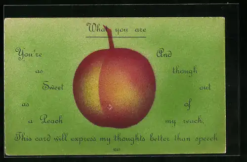 Künstler-AK Cynicus: What you are