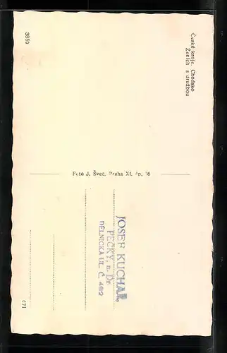 AK Ceske kroje, Chodsko, Zenich s druzbou