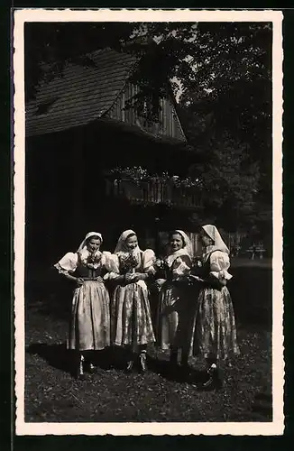 AK Moravske narodni kroje, Valasky pred chalupou