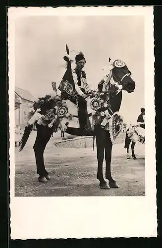 AK Hluk, Jizda kralu