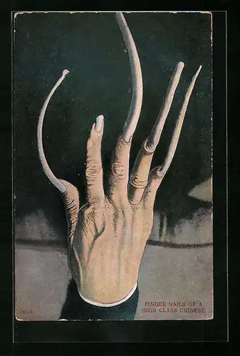 AK Fingernails of a High Class Chinese