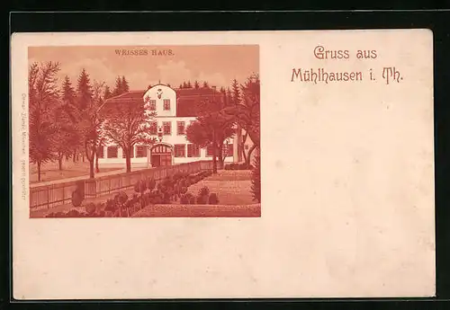 Lithographie Mühlhausen i. Th., Gasthof Weisses Haus mit Bäumen und Park