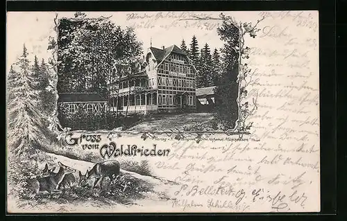 AK Mühlhausen /Thür., Hotel und Pension Waldfrieden