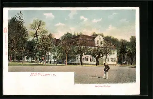 AK Mühlhausen /Thür., Gasthaus Weisses Haus umgeben von Bäumen