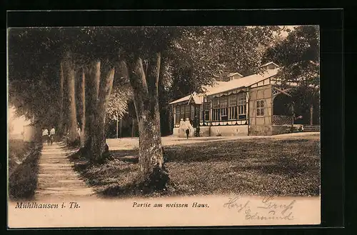 AK Mühlhausen /Thür., Partie am Gasthof Weisses Haus