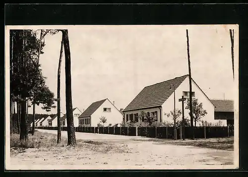 Foto-AK Mannheim, Siedlung & Strasse Quedlinburger Weg