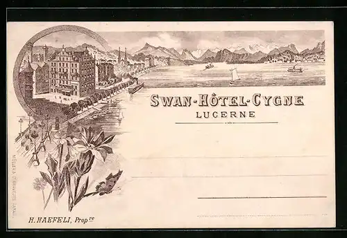 Lithographie Lucerne, Swan-Hotel-Cygne