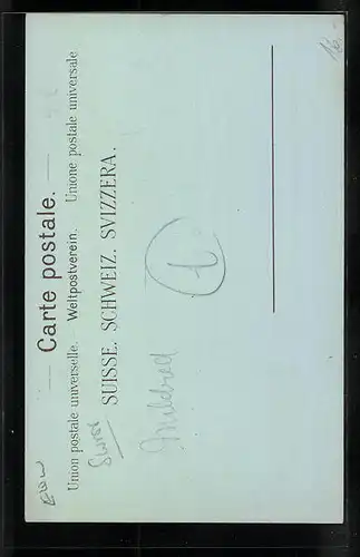 Lithographie Lucerne, Swan-Hotel-Cygne