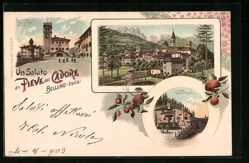 Lithographie Pieve del Cadore /Belluno, Municipio e Munumento a Calvi, Casa Tiziano Vecellio, Panorama