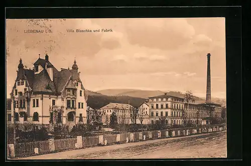 AK Liebenau i. B., Villa Blaschka und Fabrik