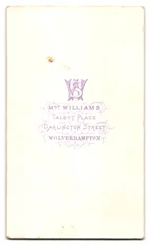 Fotografie Mr. Williams, Wolverhampton, Darlington Street, Heranwachsende Schönheit im karierten Biedermeierkleid