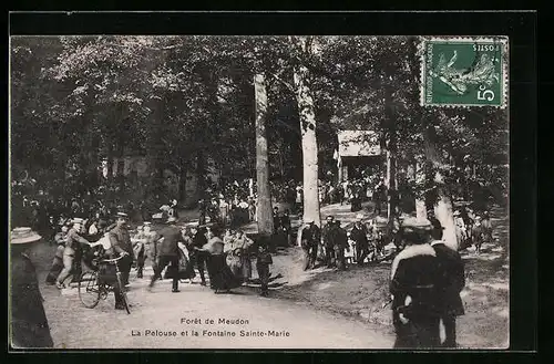 AK Meudon, Foret, La Pelouse et la Fontaine Sainte-Marie