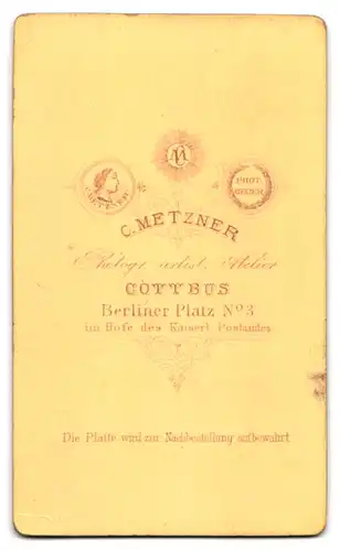 Fotografie C. Metzner, Cottbus, Berlinerplatz 3, Stattliche Greisin im Kleid mit Kragenverzierung