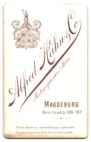 Fotografie Alfred Hahn & Co., Magdeburg, Breiteweg 196-197, Bürgerliche Dame in hübscher Kleidung