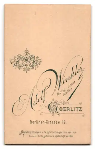 Fotografie Adolf Winkler, Goerlitz, Berliner-Str. 12, Junger Herr im Anzug mit Krawatte