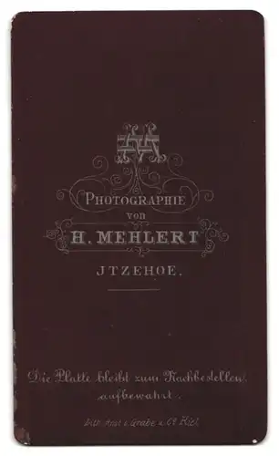 Fotografie H. Mehlert, Itzehoe, Bürgerliche Dame mit Flechtfrisur