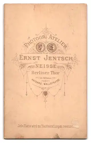 Fotografie Ernst Jentsch, Neisse, Berliner Tor, Aufgang Wallstr., Hübsch gekleidete Dame mit Kragenbrosche