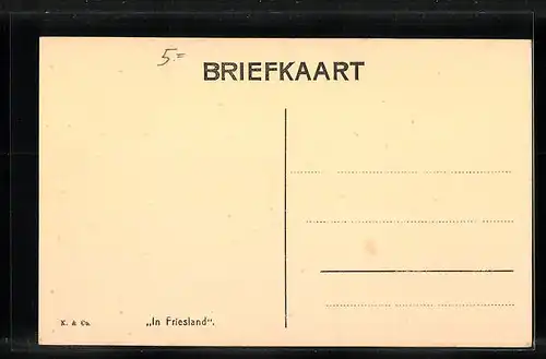 AK Friesland, Niederländerinnen in Trachten mit einem Pferdegespann