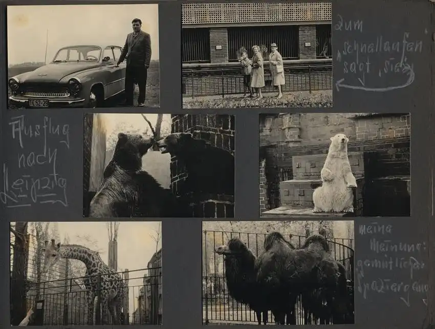 Fotoalbum 238 Fotografien DDR, Wasser, Regen & Sturmurlaub 1961-1964, Müritz, Rostock, Teterow, Warnemünde, Bastei, Plau 24