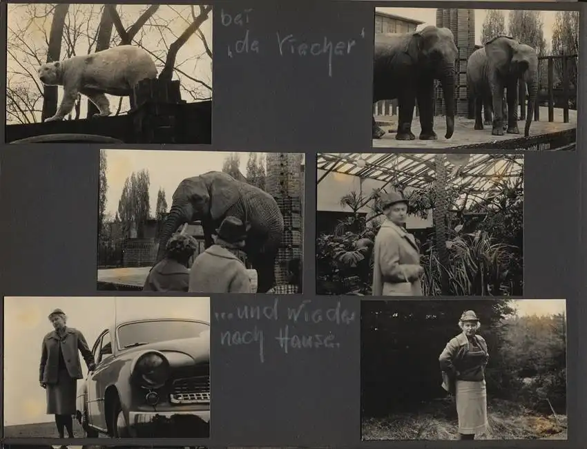 Fotoalbum 238 Fotografien DDR, Wasser, Regen & Sturmurlaub 1961-1964, Müritz, Rostock, Teterow, Warnemünde, Bastei, Plau 25