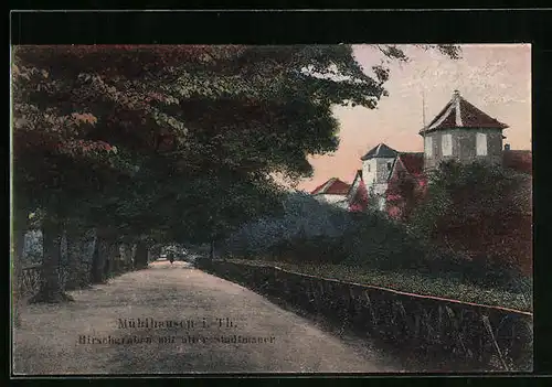 AK Mühlhausen i. Thür., Hirschgrabenstrasse mit alter Stadtmauer