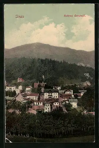 AK Sinaia, Vederea Generala