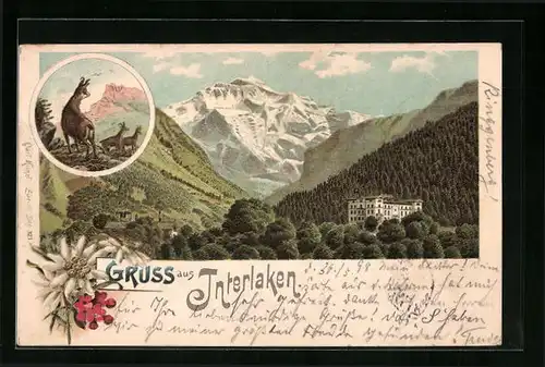 Lithographie Interlaken, Panorama mit Hotel
