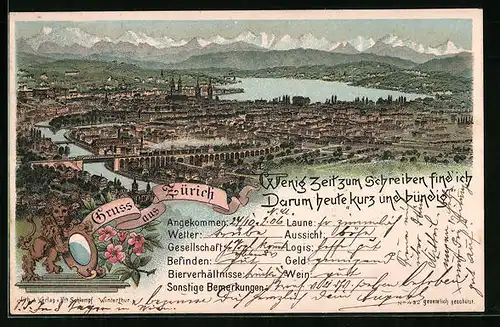 Lithographie Zürich, Totalansicht mit Alpenpanorama