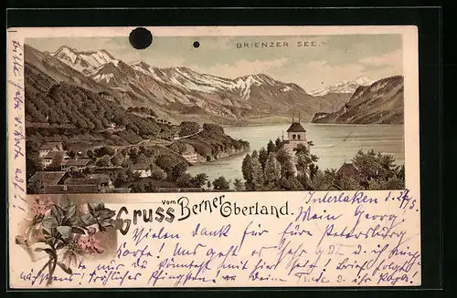 Lithographie Brienz, Teilansicht mit Blick über den Brienzer See