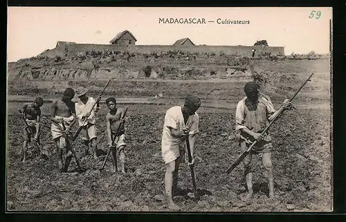 AK Madagascar, Cultivateurs
