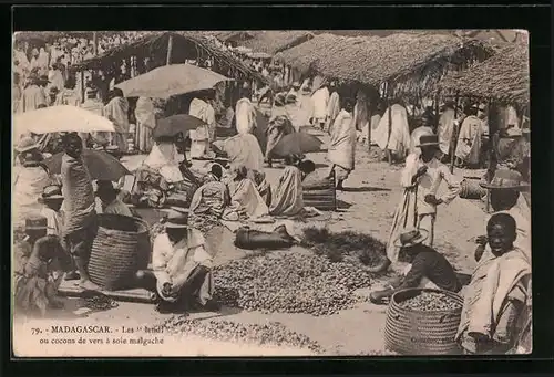 AK Madagascar, Les lendi ou cocons de vers a soie malgache