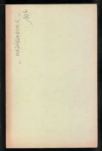 AK Tananarive, Types hovas