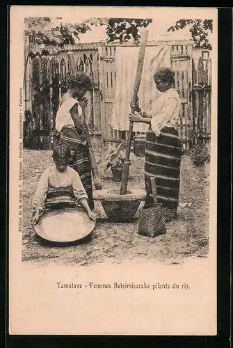 AK Tamatave, Femmes Betsimisaraka pilants du riz