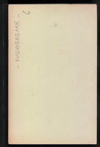 AK Madagascar, La recolte des cocos