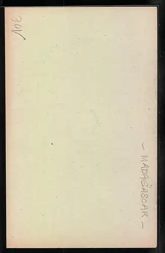 AK Madagascar, Le pilage du Riz