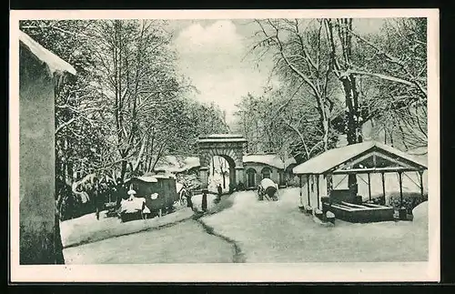 AK Kabylie, Kabylie sous la neige