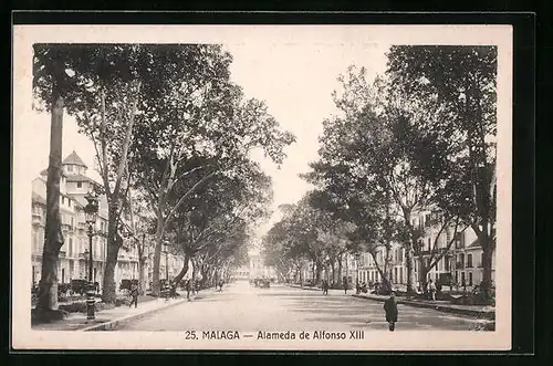 AK Malaga, Almeda de Alfonso XIII