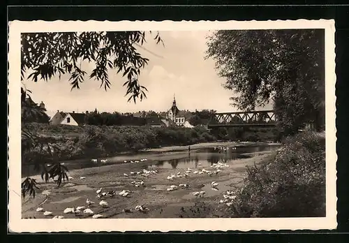 AK Pohrlitz, Eiserne Brücke mit Rathaus