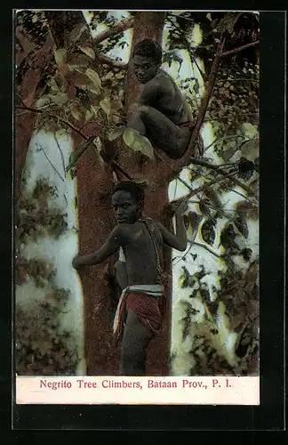 AK Bataan, Tree Climbers