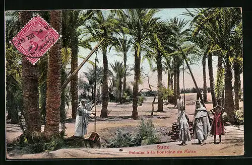 AK Suez, Palmier à la Fontaine de Moise